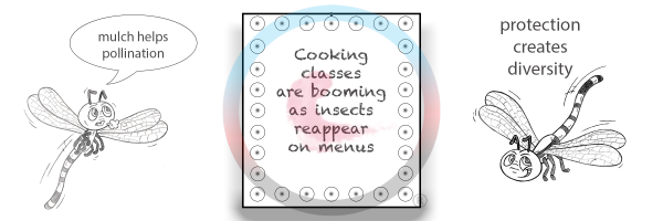 Curated menu planning
