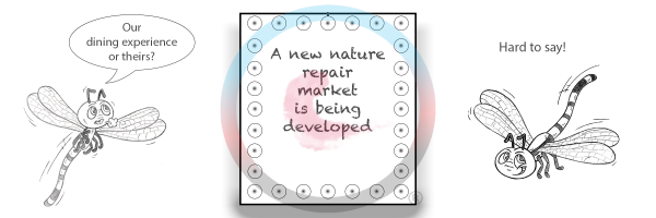 a new nature repair market is being developed